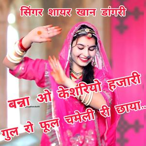 बन्ना ओ केशरियो हजारी गुल रो फूल.... सिंगर शायरखान डांगरी
