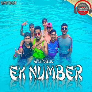 Apli Public Ek Number