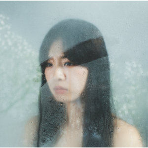 クリスマスチキン