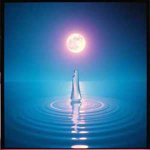 最熟悉的陌生人