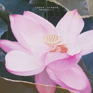 仙剑情殇 - 2025版（原唱：墨明棋妙/林佳树&绯村柯北&千夜琉璃）