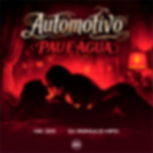 Automotivo Pau e Água