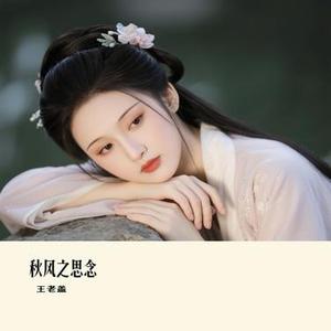 秋风之思念