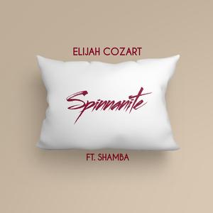 Spinnanite (feat. Shamba)