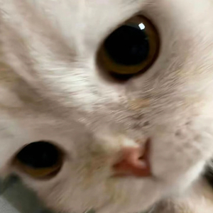 北走_Prod.Ounce_X x 开