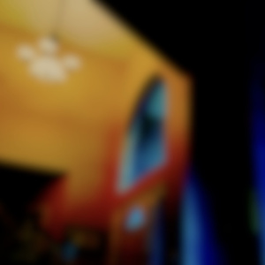 I Am Lost In The Netherlands