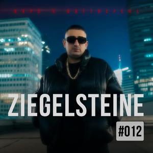 Ziegelsteine