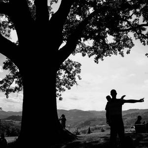 La Casa Sull'Albero