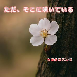 ただ、そこに咲いている