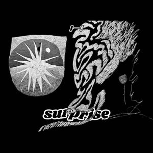 SURPRICE