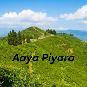 Aaya Piyara