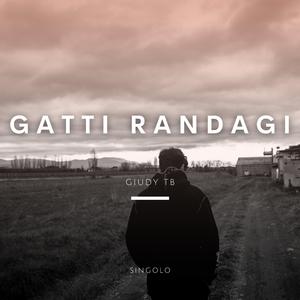 Gatti Randagi