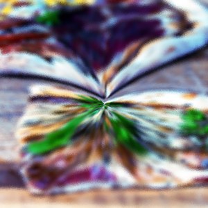 Rivulariaceae