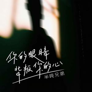 你的眼睛背叛了你的心 (DJ九零版)