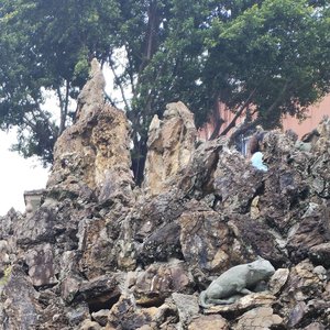 我们以后还会再见面吗太痛了