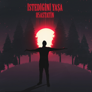 İstediğini Yaşa