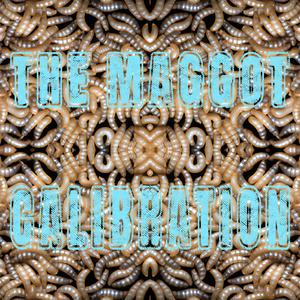 The Maggot Calibration (All They Can Eat : Round 14)