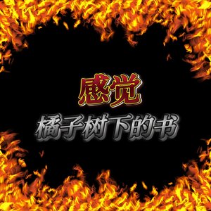 感觉
