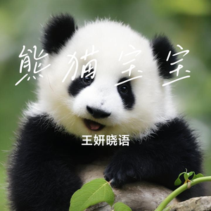 熊猫宝宝