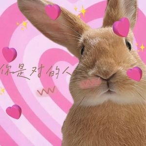 你是对的人（电视剧《爱情回来了》片尾曲）