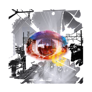 枯れてしまう花をください