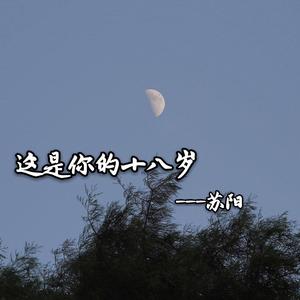 这是你的十八岁（翻自 楠楠女神）