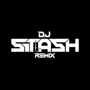 Akkalkot Swaminchi Palkhi Nighali (Mahakal Dhol Mix) DJ Stash