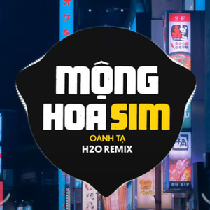 Mộng Hoa Sim (Remix Vinahouse)