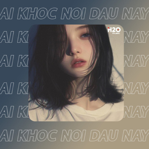 Ai Khóc Nỗi Đau Này (Remix House)