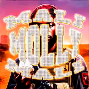 mali mali molly ▄︻┻┳═一 ✦ ✦ ✦