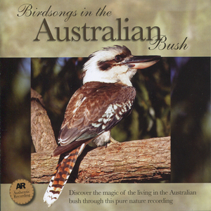 Featuring Pheasant Coucal Also Australian Magpie, Pied Butcherbird, Squatter Pigeon, Little Friarbird and Rufous Whistler