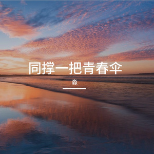 同撑一把青春伞