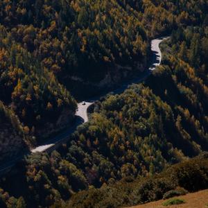 风（Prod.by t$eking）