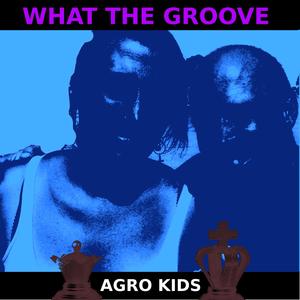 What the Groove