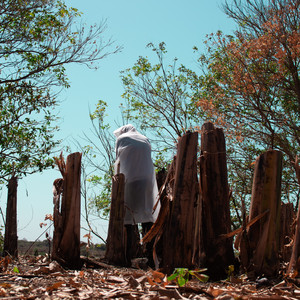 Into the Great Scene