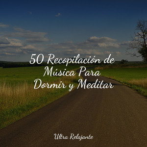Pasanso Por Debajo