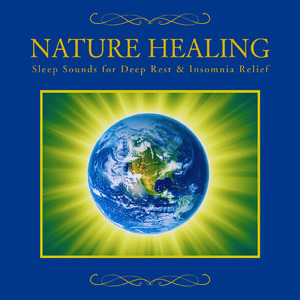 癒しのギターとα波効果 深い眠りに落ちる睡眠用ヒーリングbgm「セロトニン」で睡眠の質向上 (自律神経を整える睡眠用 森 鳥)