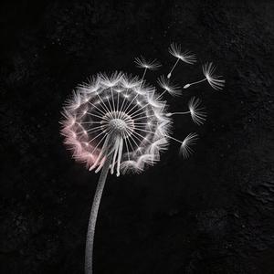 你要不要（你要不要我的拥抱）