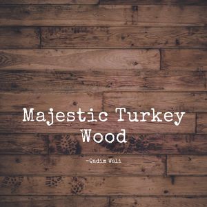 Majestic Turkey Wood