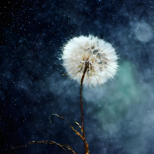 行李箱装不下的思念