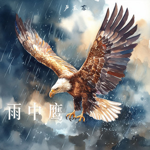 雨中鹰 (极简版)