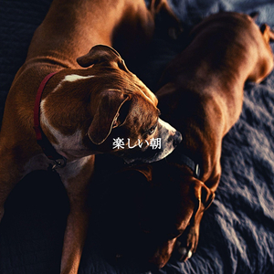 Playful (Music)