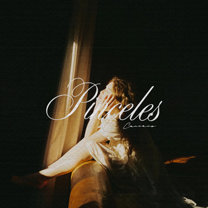 Pinceles