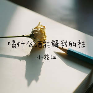 喝什么酒能解我的愁