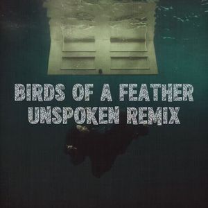 Birds of a Feather (Unspoken Remix)