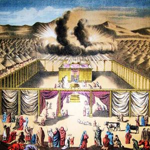 Los Ojos del Creador