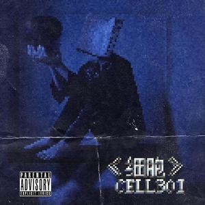 如果二十年以后我不再玩说唱