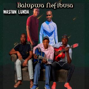 Balupwa Nefibusa
