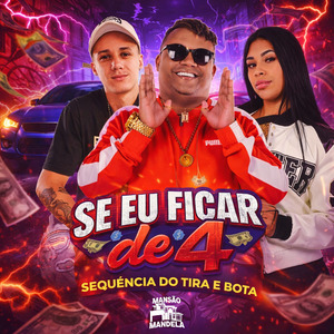 Se Eu Ficar de 4 - Sequencia do Tira e Bota