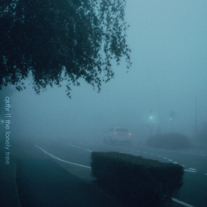 QKThr - the lonely tree (bird sounds)